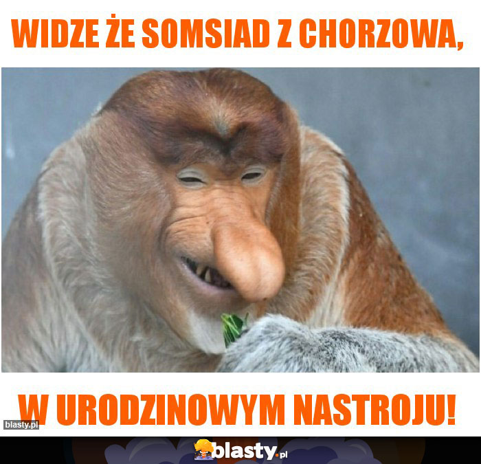 widze że somsiad z chorzowa,