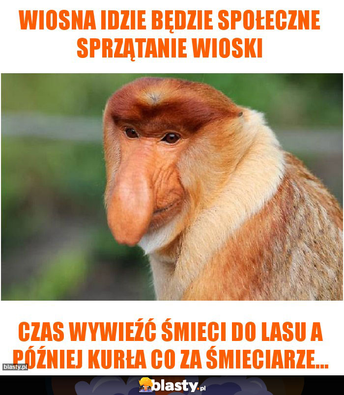 WIOSNA IDZIE BĘDZIE SPOŁECZNE SPRZĄTANIE WIOSKI