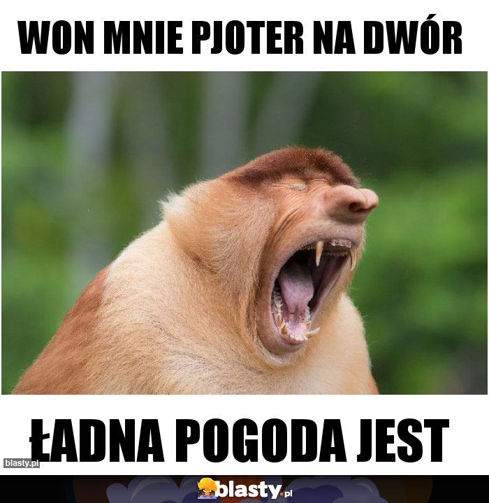 WON MNIE PJOTER NA DWÓR