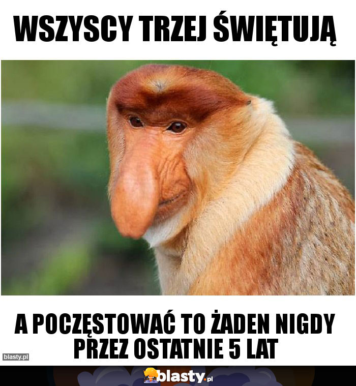 Wszyscy trzej świętują