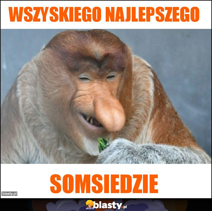 Wszyskiego Najlepszego