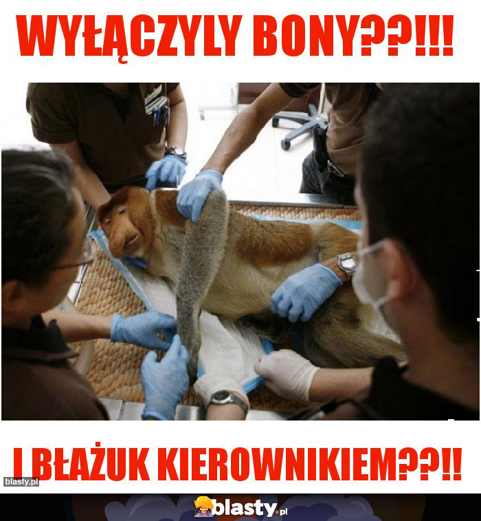 Wyłączyly bony??!!!