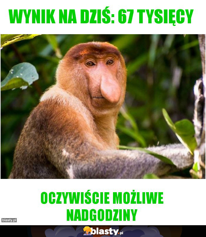 Wynik na dziś: 67 tysięcy