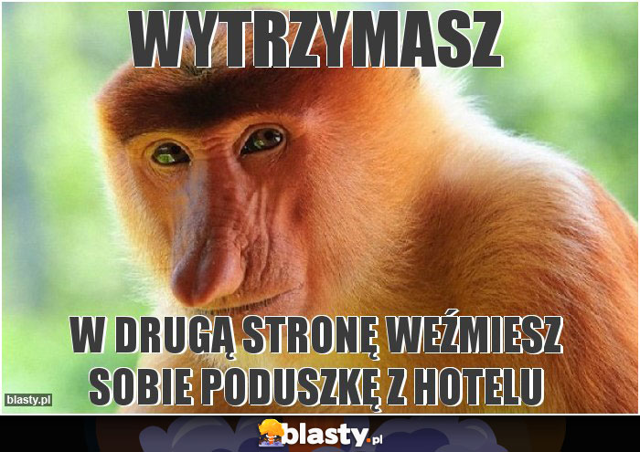 Wytrzymasz