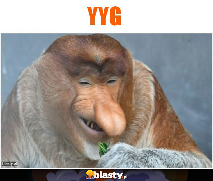 Yyg