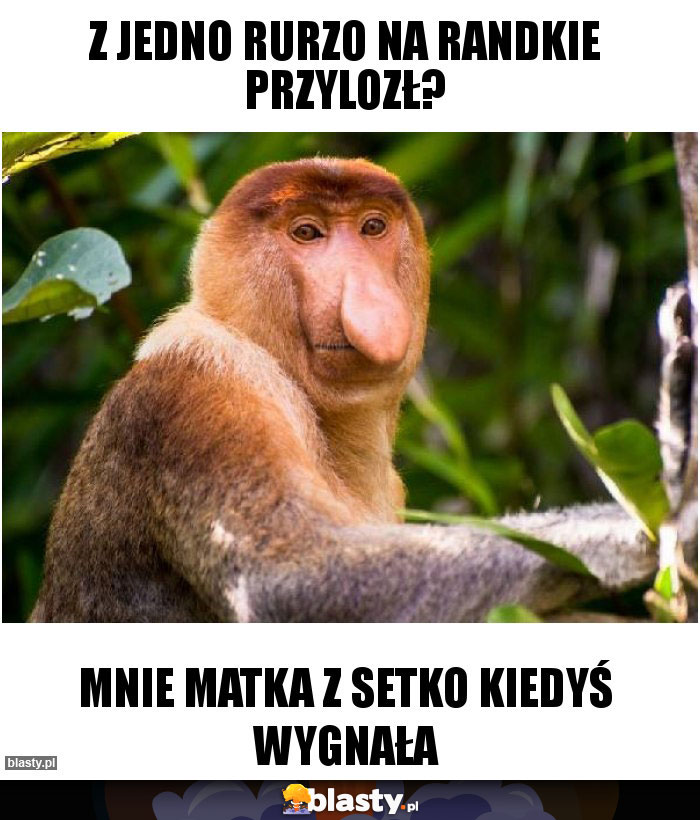 Z jedno rurzo na randkie przylozł?