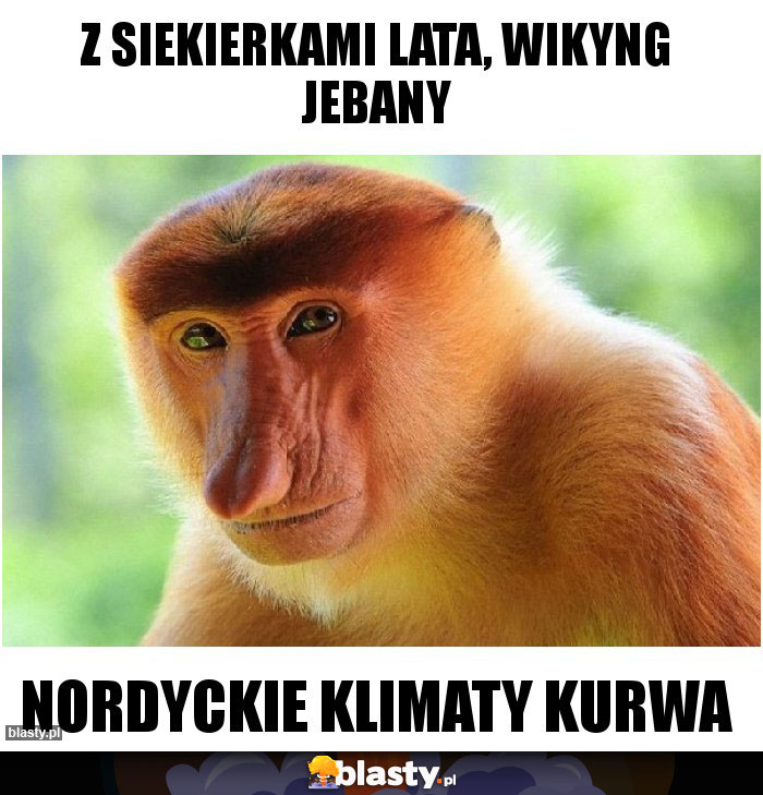 Z siekierkami lata, wikyng jebany