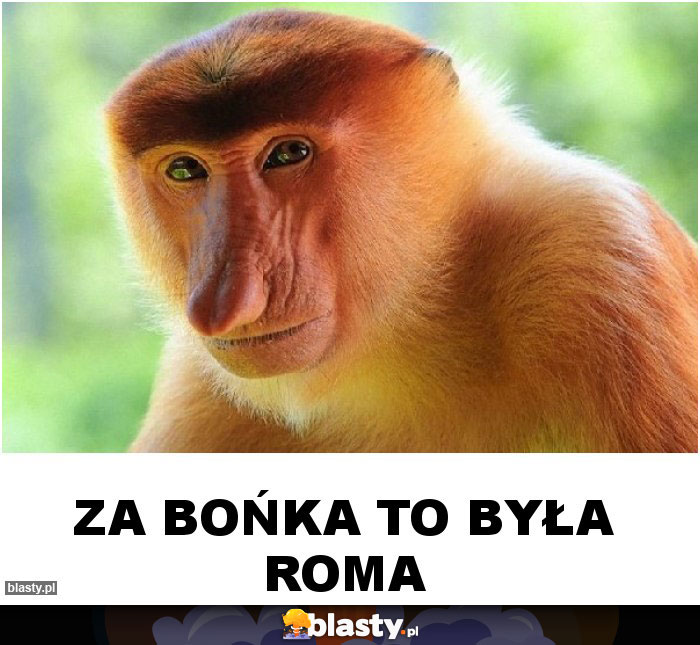 ZA BOŃKA TO BYŁA ROMA