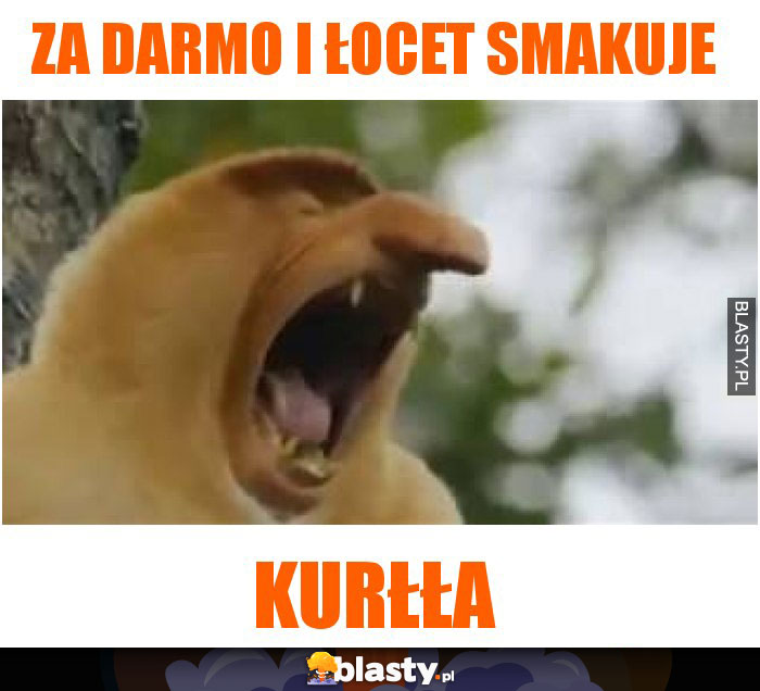 Za darmo i łocet smakuje