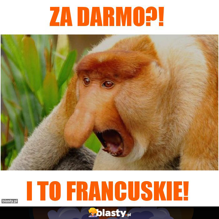 ZA DARMO?!