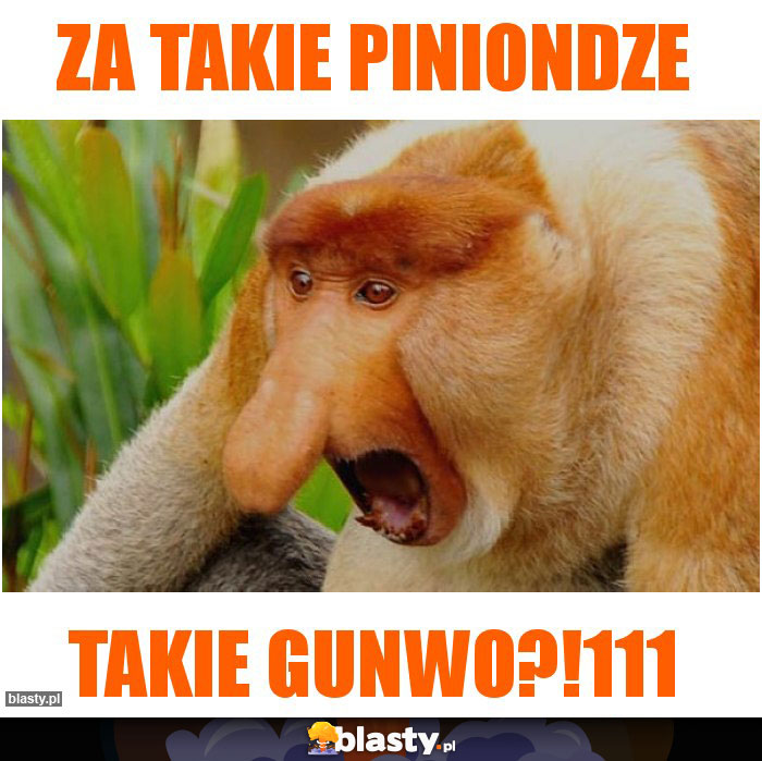 za takie piniondze