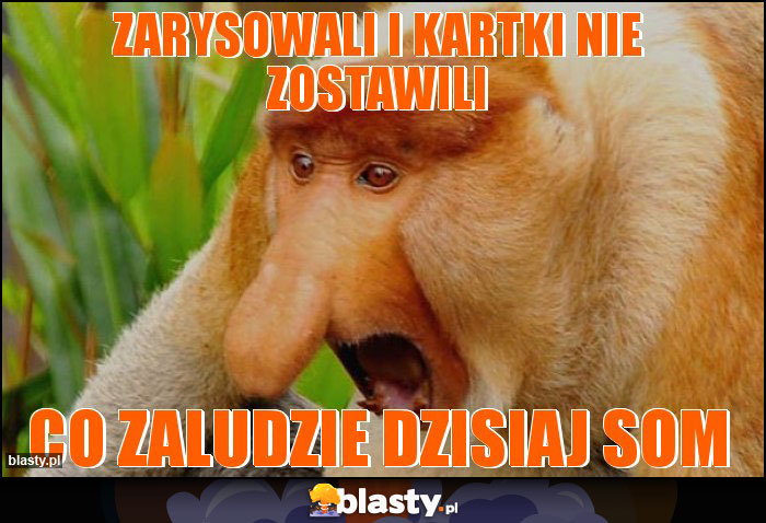 Zarysowali i Kartki nie zostawili