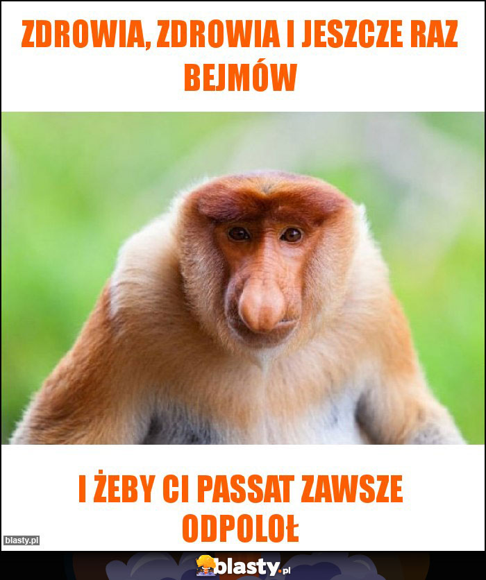 Zdrowia, zdrowia i jeszcze raz bejmów