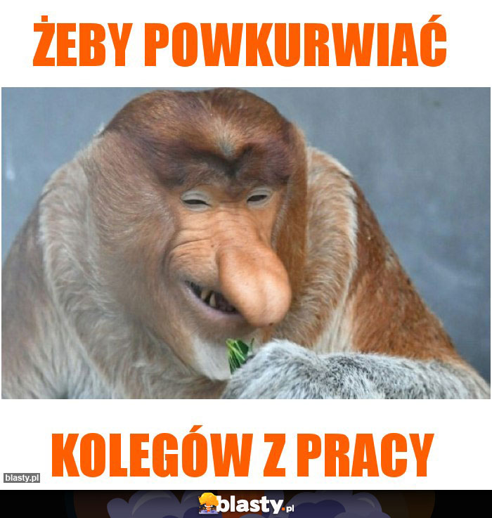 Żeby powkurwiać