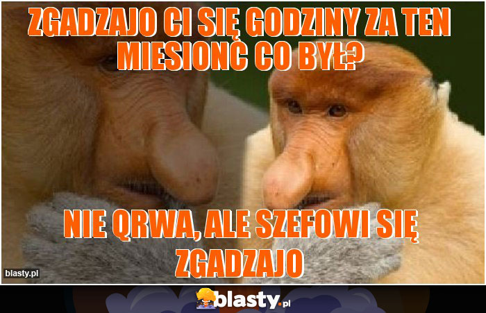 zgadzajo Ci się godziny za ten miesionc co był?