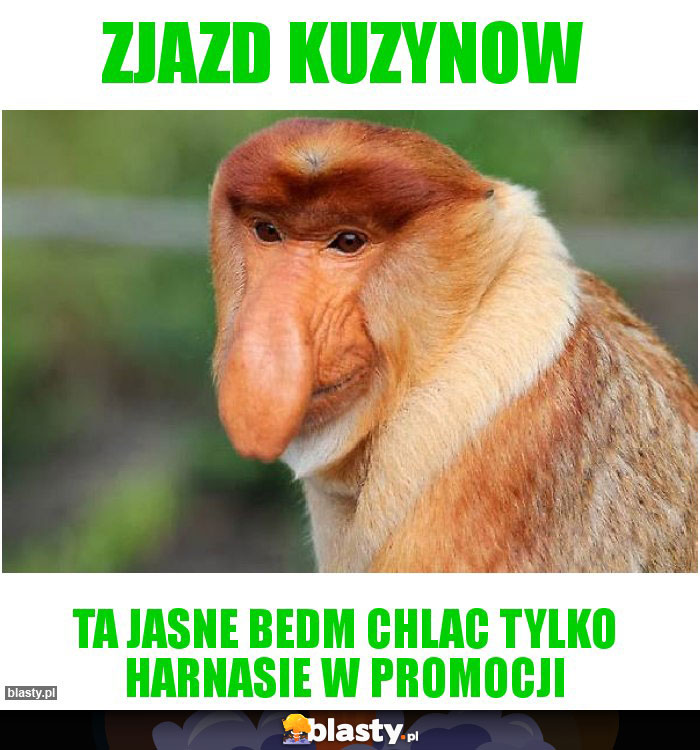 Zjazd kuzynow