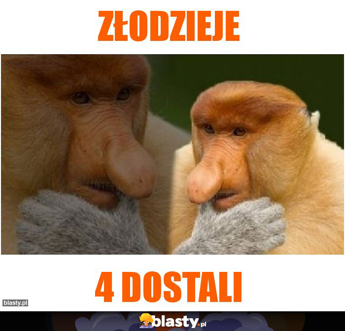 Złodzieje