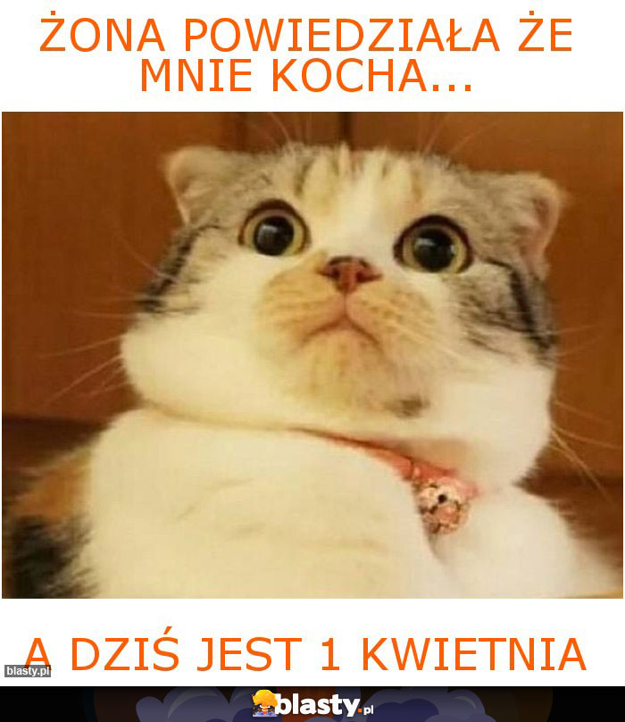 Żona powiedziała że mnie kocha...