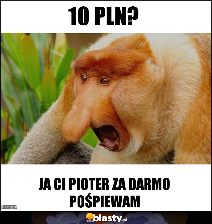 10 PLN?