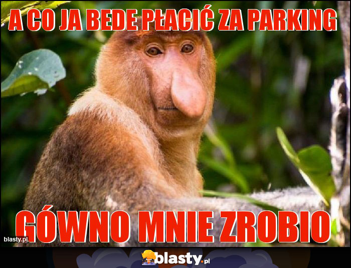 A co ja bede płacić za parking