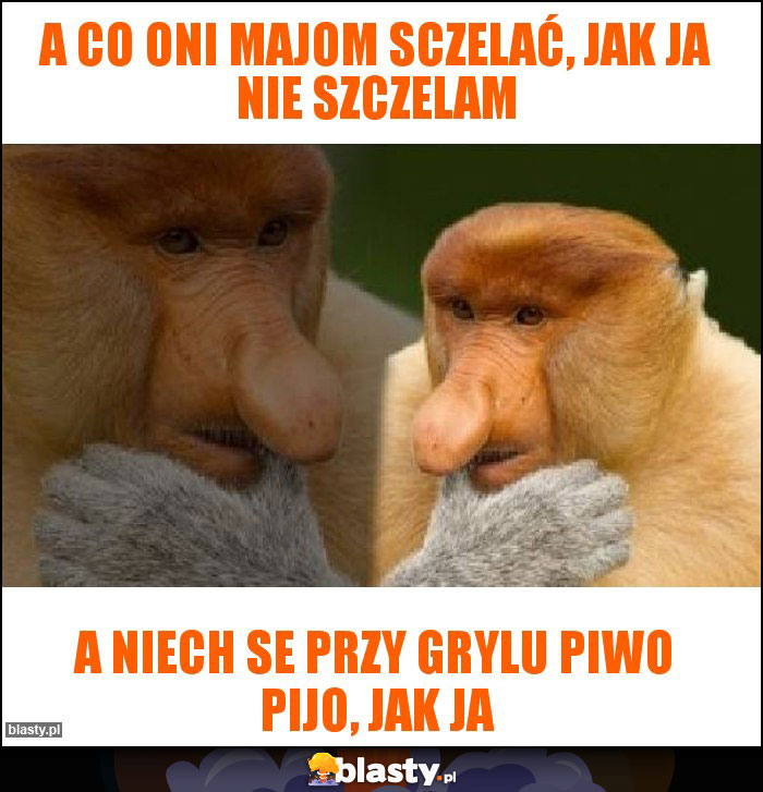 A co oni majom sczelać, jak ja nie szczelam