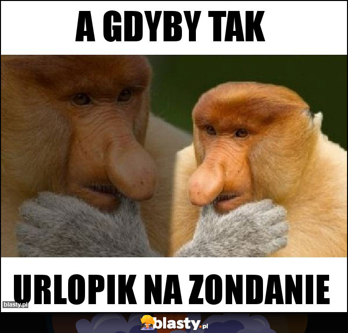 A GDYBY TAK