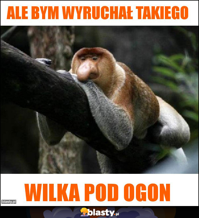 Ale bym wyruchał takiego