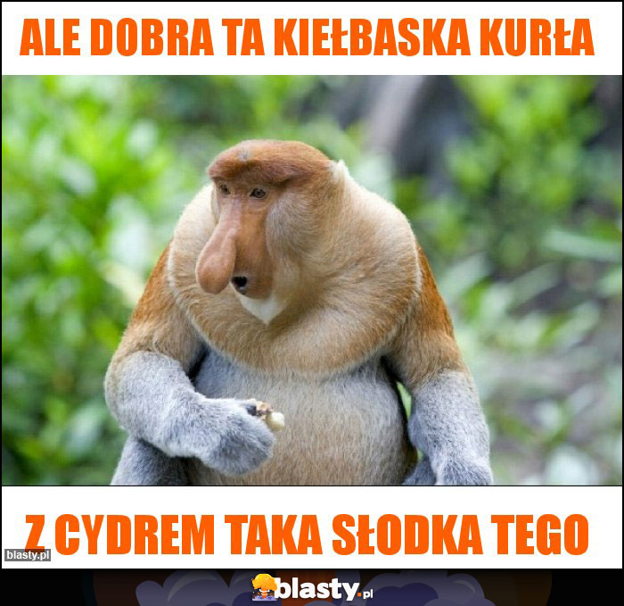 Ale dobra ta kiełbaska kurła