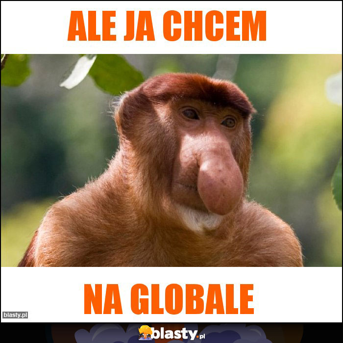 Ale ja chcem