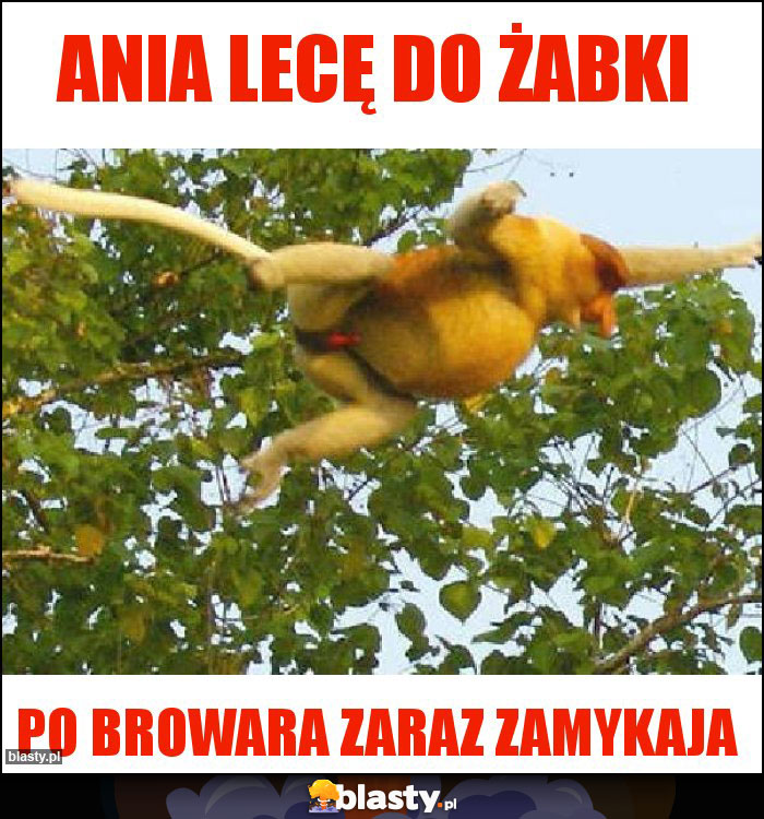 Ania lecę do żabki