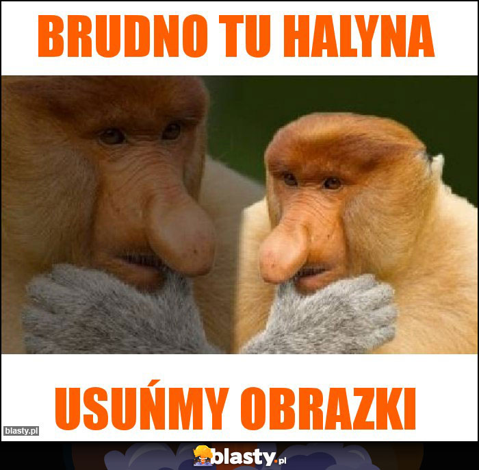 Brudno tu Halyna