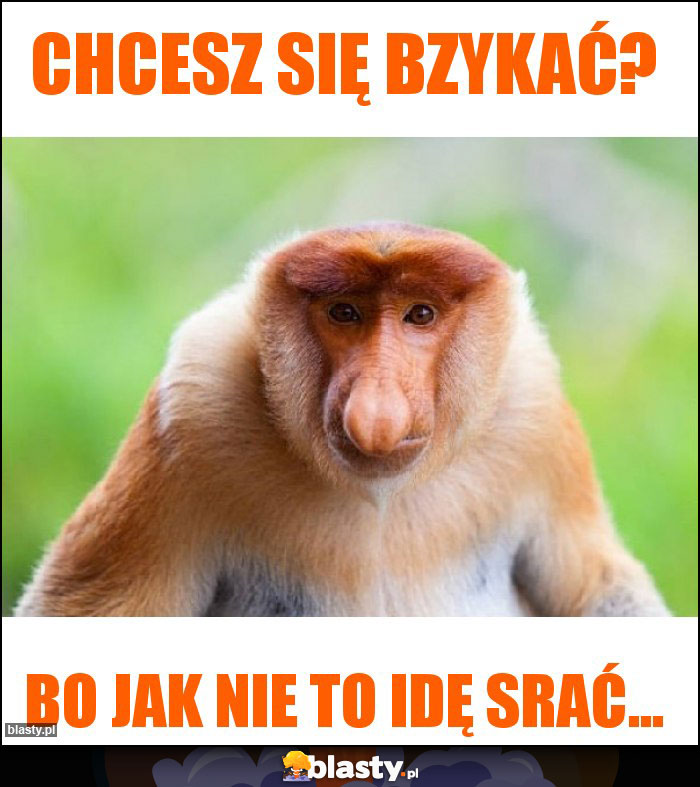 Chcesz się bzykać?