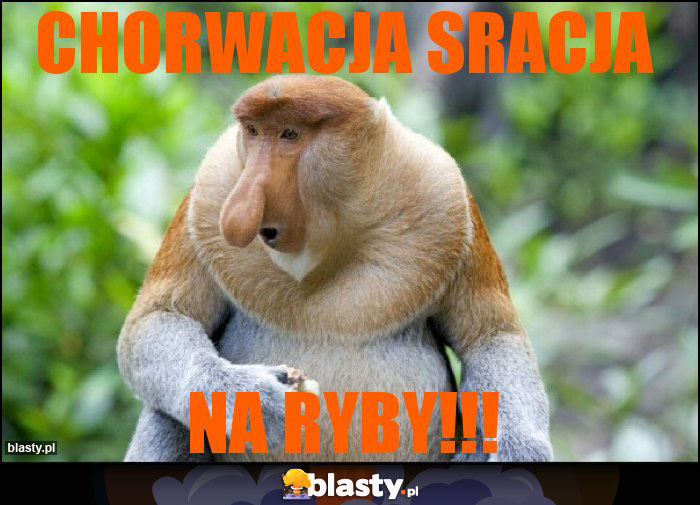 chorwACJA SRACJA