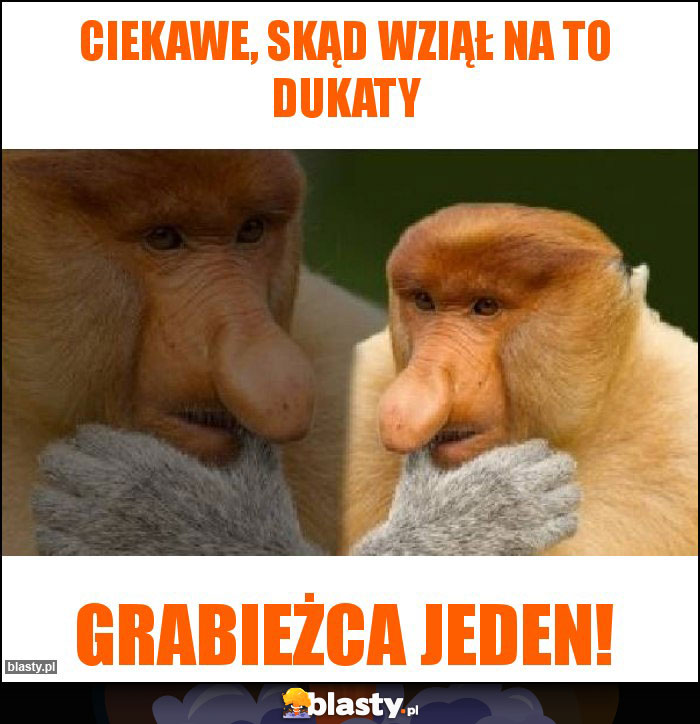 Ciekawe, skąd wziął na to dukaty