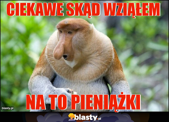 Ciekawe skąd wziąłem