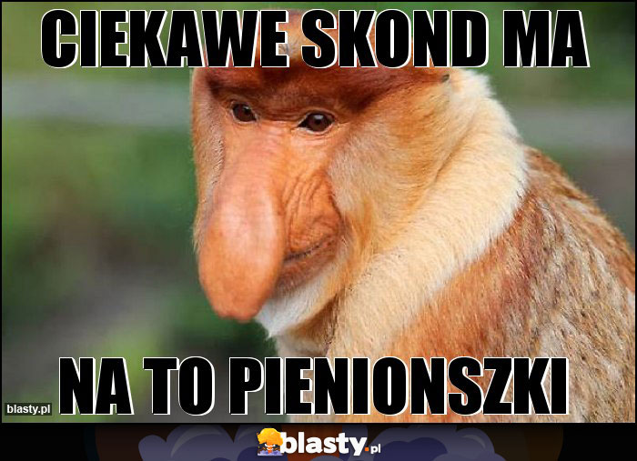 CIEKAWE SKOND MA