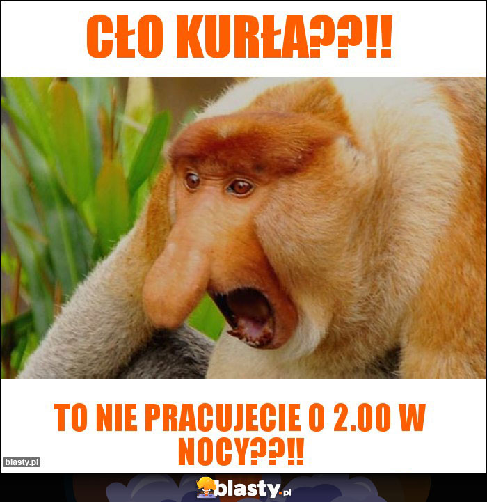 Cło kurła??!!