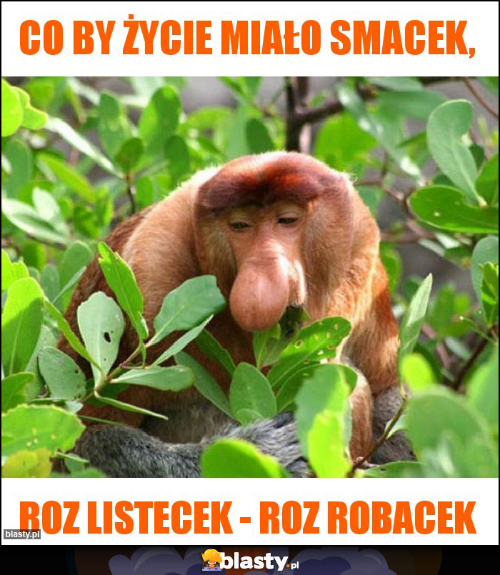 Co by życie miało smacek,