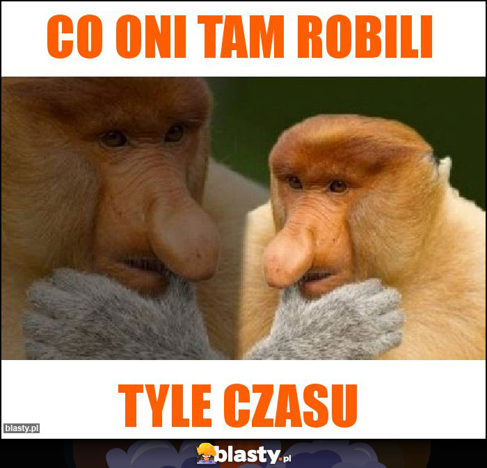 co oni tam robili