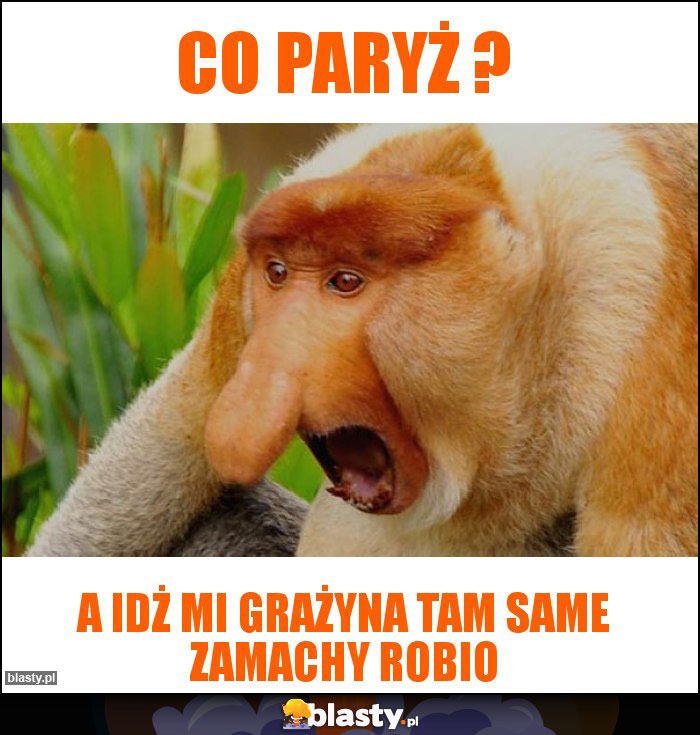 co paryż ?