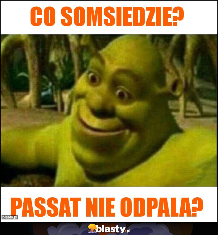 Co somsiedzie?