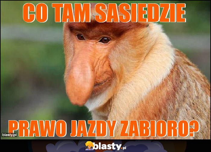 co tam sasiedzie