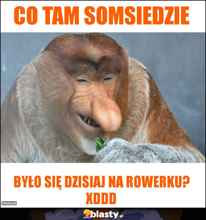 Co tam somsiedzie