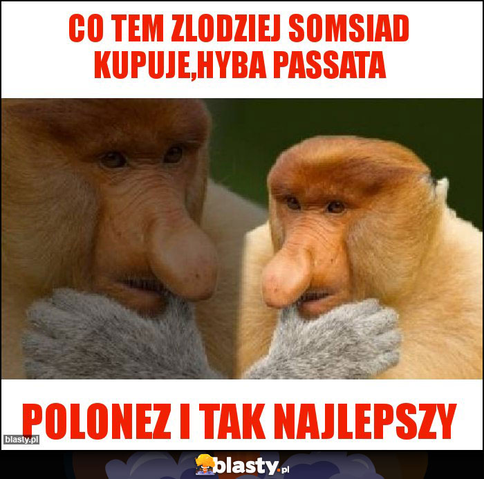 co tem zlodziej somsiad kupuje,hyba passata