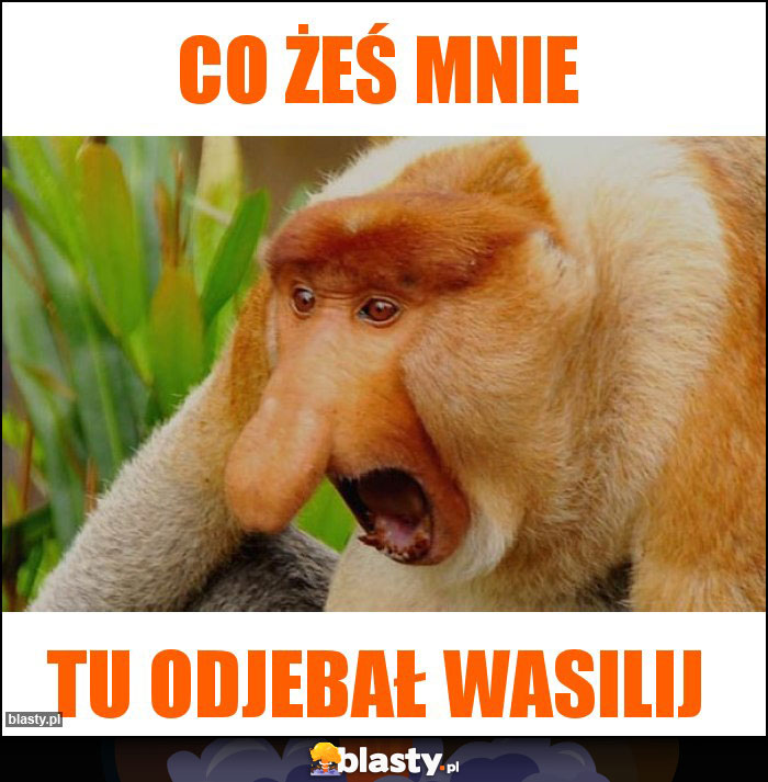 Co żeś mnie