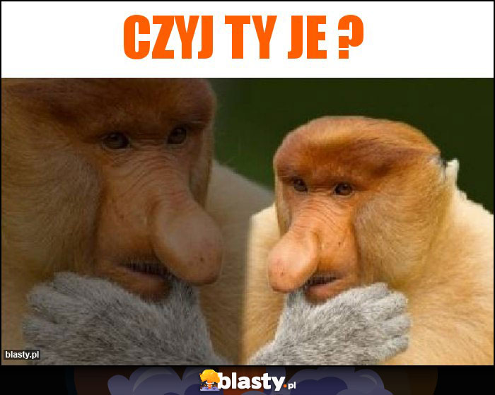 Czyj ty je ?