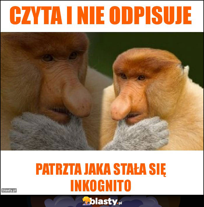 Czyta i nie odpisuje