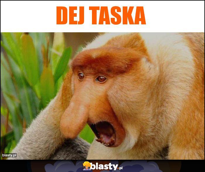 DEJ TASKA