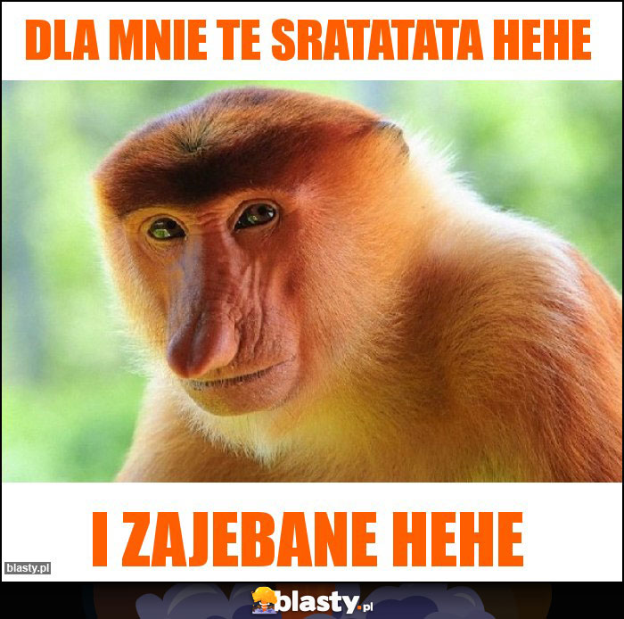 DLA MNIE TE SRATATATA HEHE