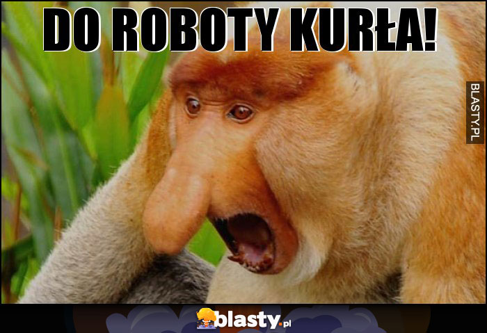 DO ROBOTY KURŁA!